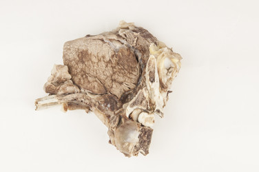 Similar image 21033916