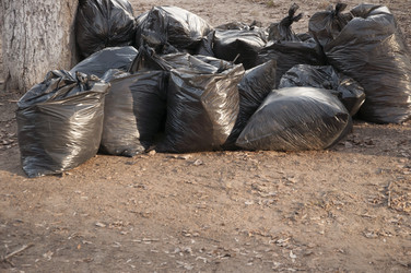 Similar image 21037136