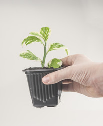 Similar image 21061657