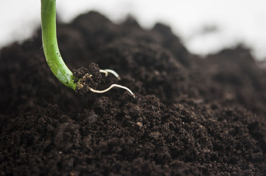 Similar image 21061661