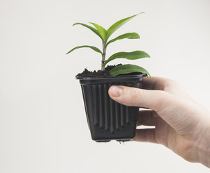 Similar image 21061707