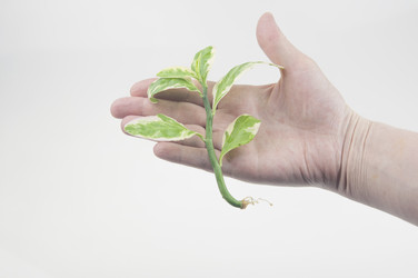 Similar image 21062000