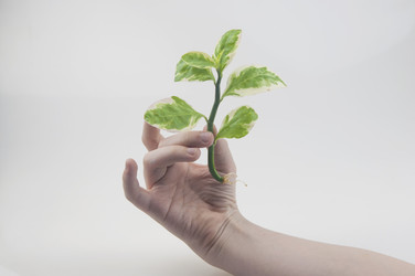 Similar image 21062001