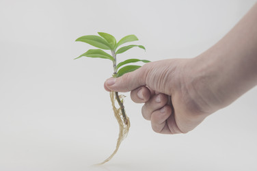 Similar image 21067042