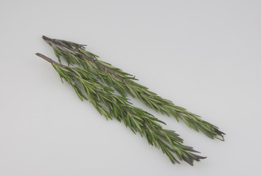 Similar image 21069033