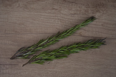 Similar image 21069035