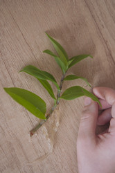 Similar image 21073808