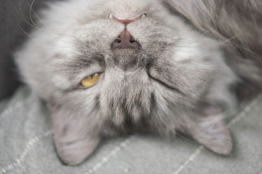 Similar image 21033893