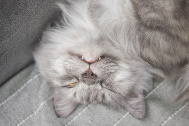 Similar image 21033921