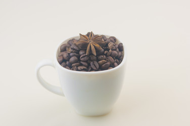 Similar image 21036461