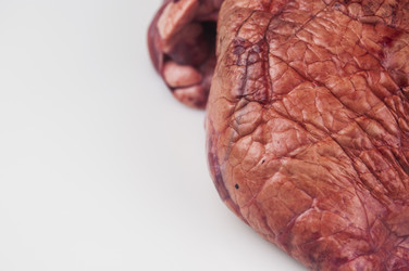 Similar image 21061669