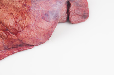 Similar image 21061670