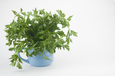 Similar image 21062003