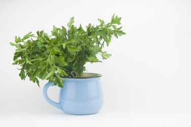 Similar image 21062004