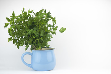 Similar image 21067023