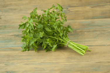 Similar image 21069037