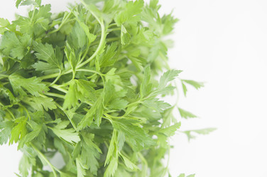 Similar image 21069261