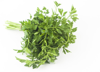 Similar image 21073822