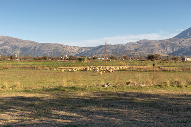 Similar image 21028601