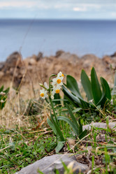 Similar image 21048014