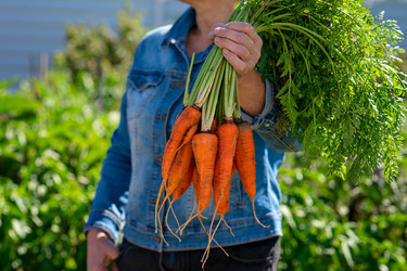 Similar image 21028572