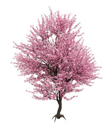 Similar image 21024990