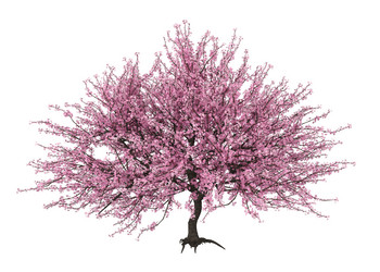 Similar image 21024991