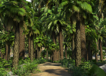 Similar image 21025005