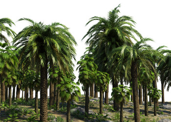 Similar image 21025006