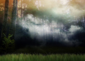 Similar image 21025007