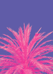 Similar image 21025010