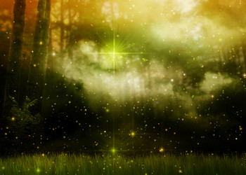 Similar image 21025015