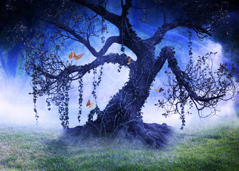 Similar image 21025016