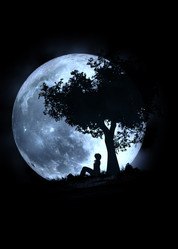 Similar image 21024927