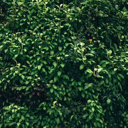 Similar image 21058020