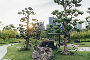 Similar image 21057834