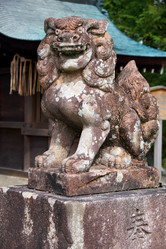 Similar image 21020820