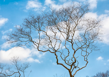 Similar image 21020823