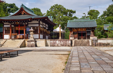 Similar image 21020834