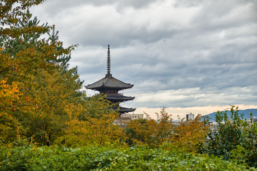 Similar image 21020838