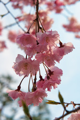 Similar image 21020841