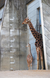 Similar image 21020850