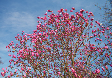 Similar image 21020851