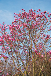 Similar image 21020853