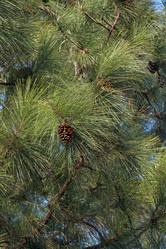 Similar image 21020856