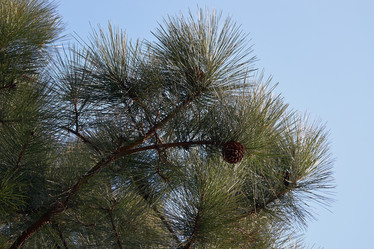 Similar image 21020858