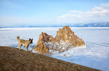 Similar image 21020894