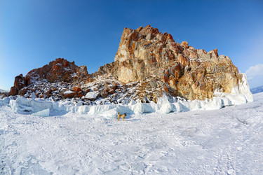 Similar image 21020921