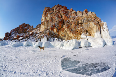 Similar image 21020927