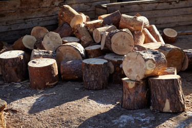 Similar image 21022176